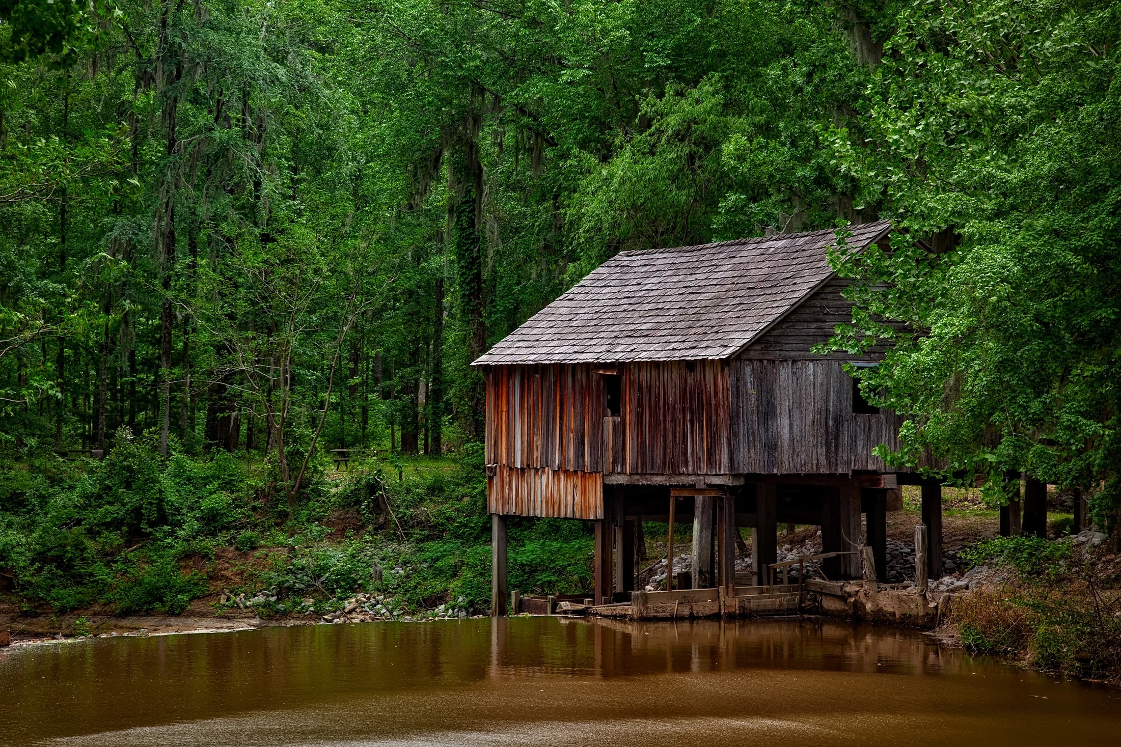 The-Membership-Wendell-Berry-Podcast-Long-Legged-House.jpg