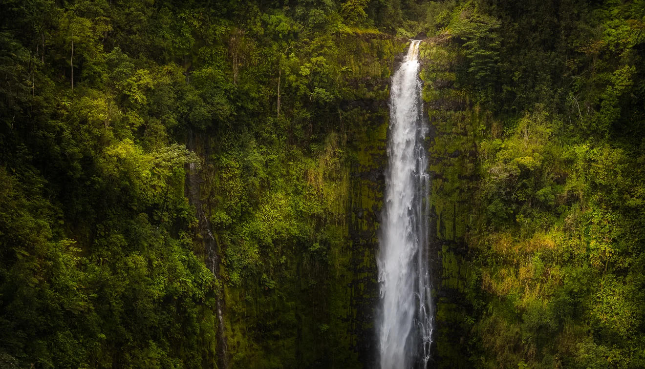 Akaka Falls