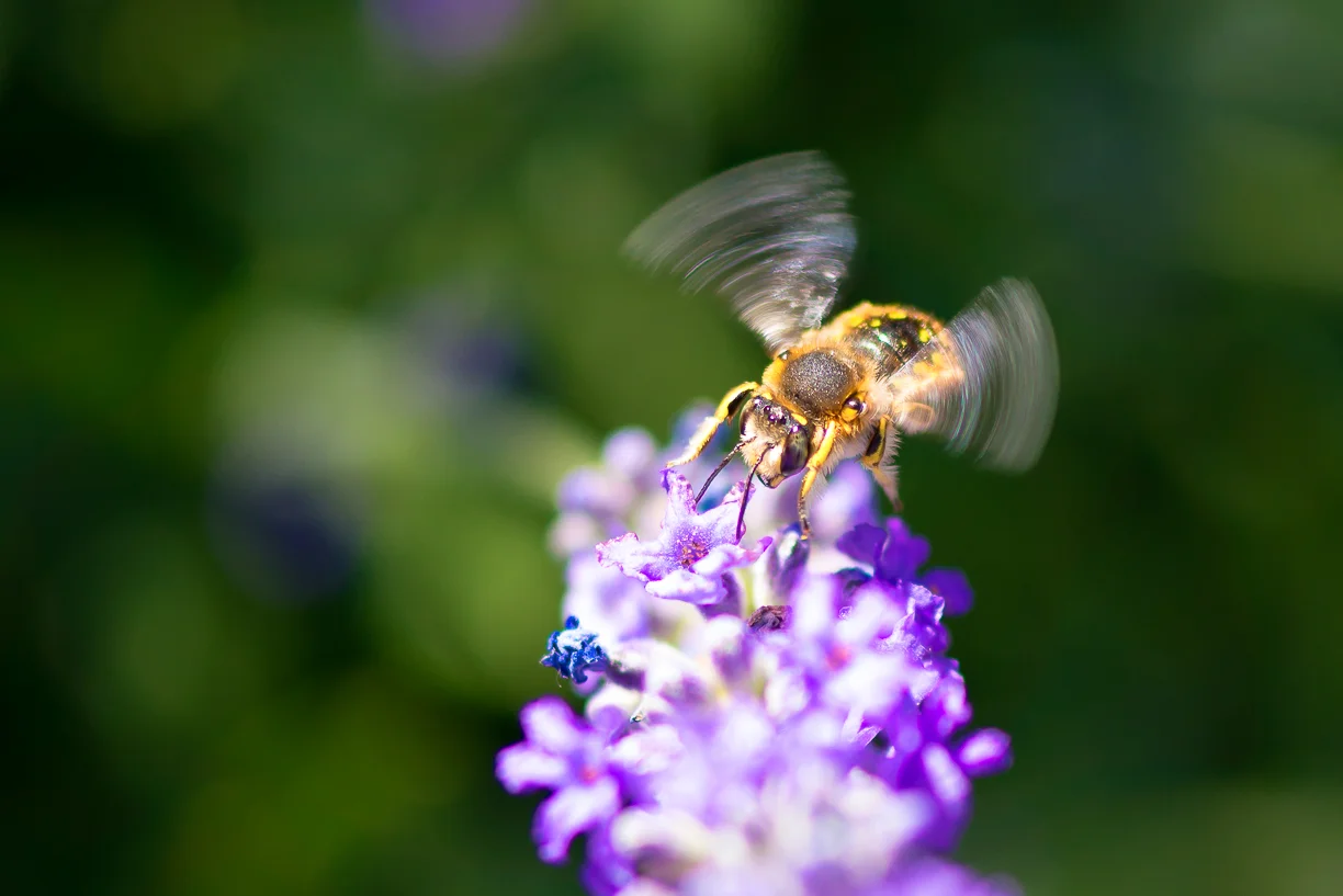 Takeoff
