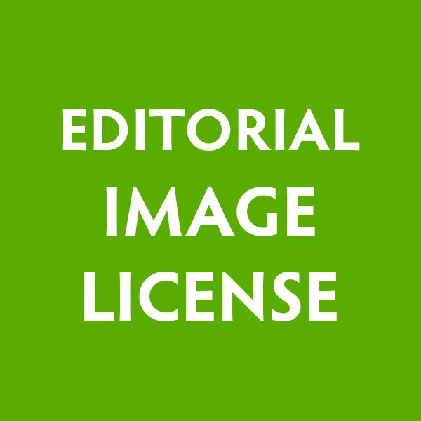 editorial.jpg