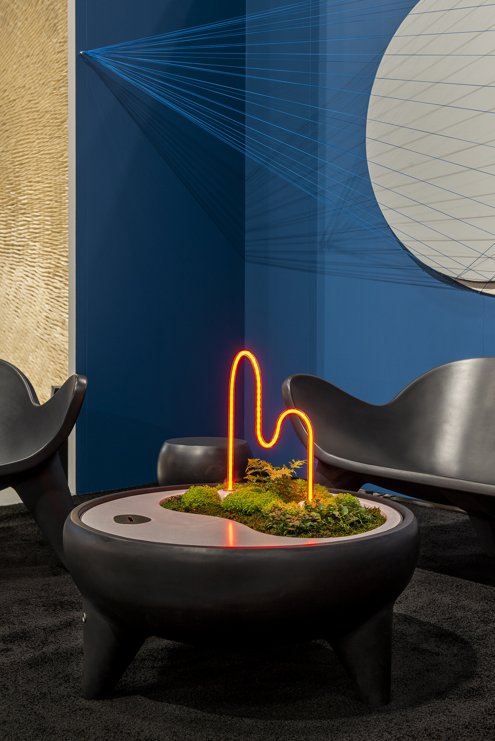 2019_Apollo Landscape_front 2.jpg