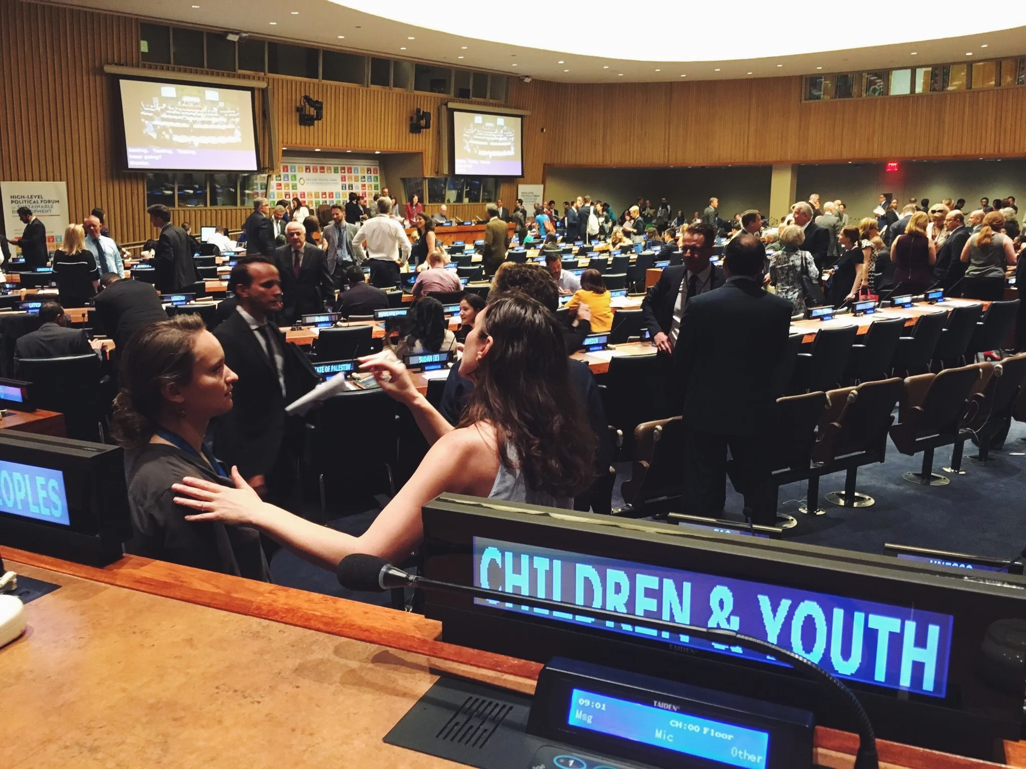 Session on Stakeholder Engagement in the HLPF and its Review in 2019