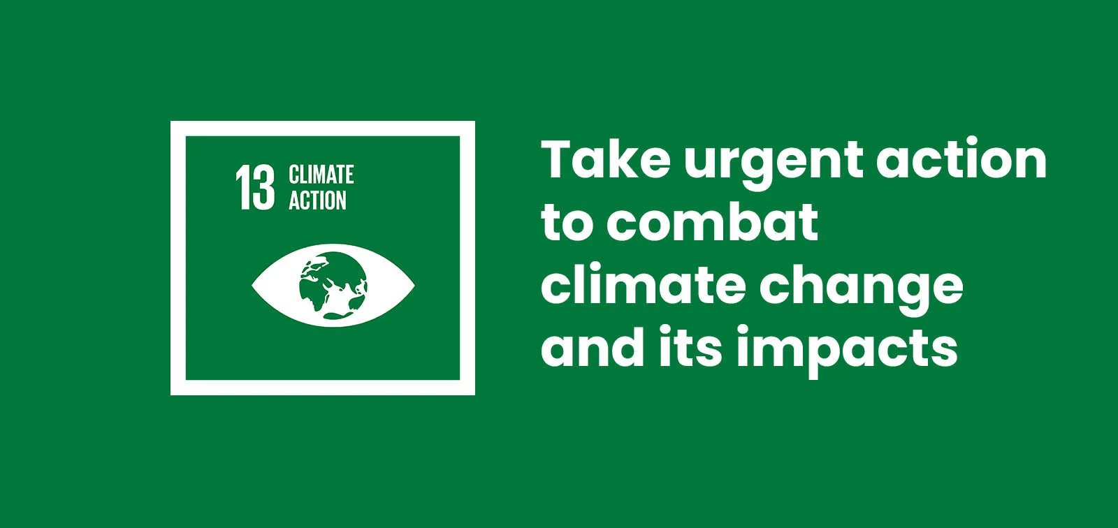 sdg 13 grande en.jpg