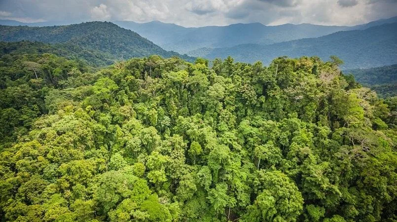  Forest Policy Literacy Online Webinar