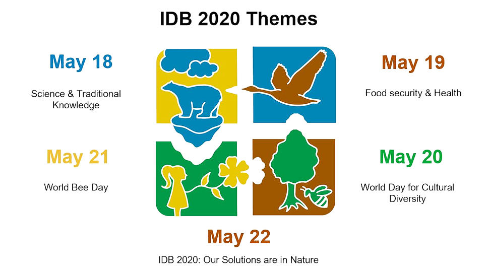 Youth Mobilising for International Day on Biodiversity