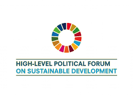 HLPF 2020 Sectoral Paper- Accelerated Action and Transformative Pathways: Realizing the Decade of Action and Delivery for Sustainable Development". 