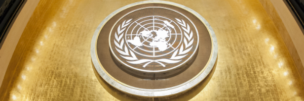 IMPORTANT DEADLINE- Contribute to Secretary General's Report on Youth- 30th June 