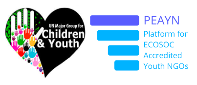 Platform for ECOSOC Accredited Youth NGOs - New !!