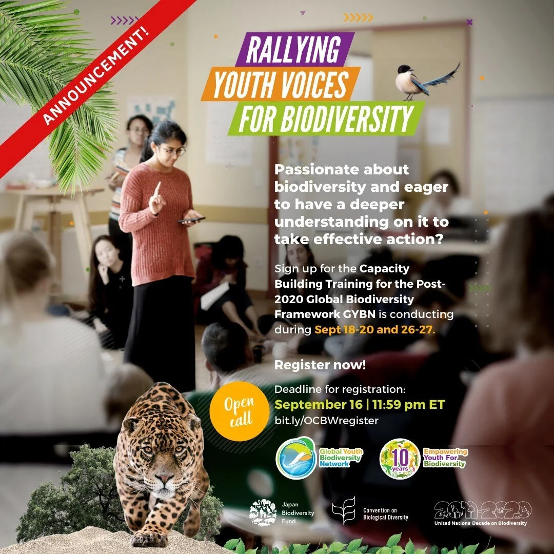 Youth Engagement Roadmap for the Post-2020 Global Biodiversity Framework (GBF)