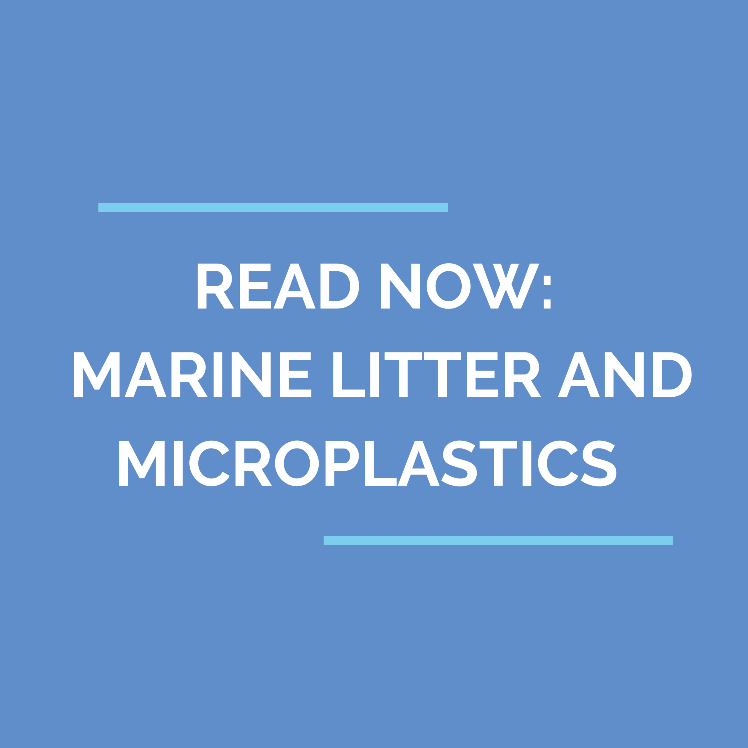 UNEP MGCY Marine Litter Working Group at 4th Meeting of the Ad Hoc Open-Ended Expert Group on Marine Litter