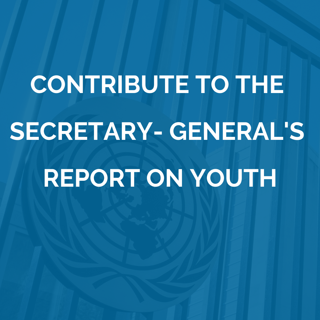 Contribute to the Secretary General's Report on Youth