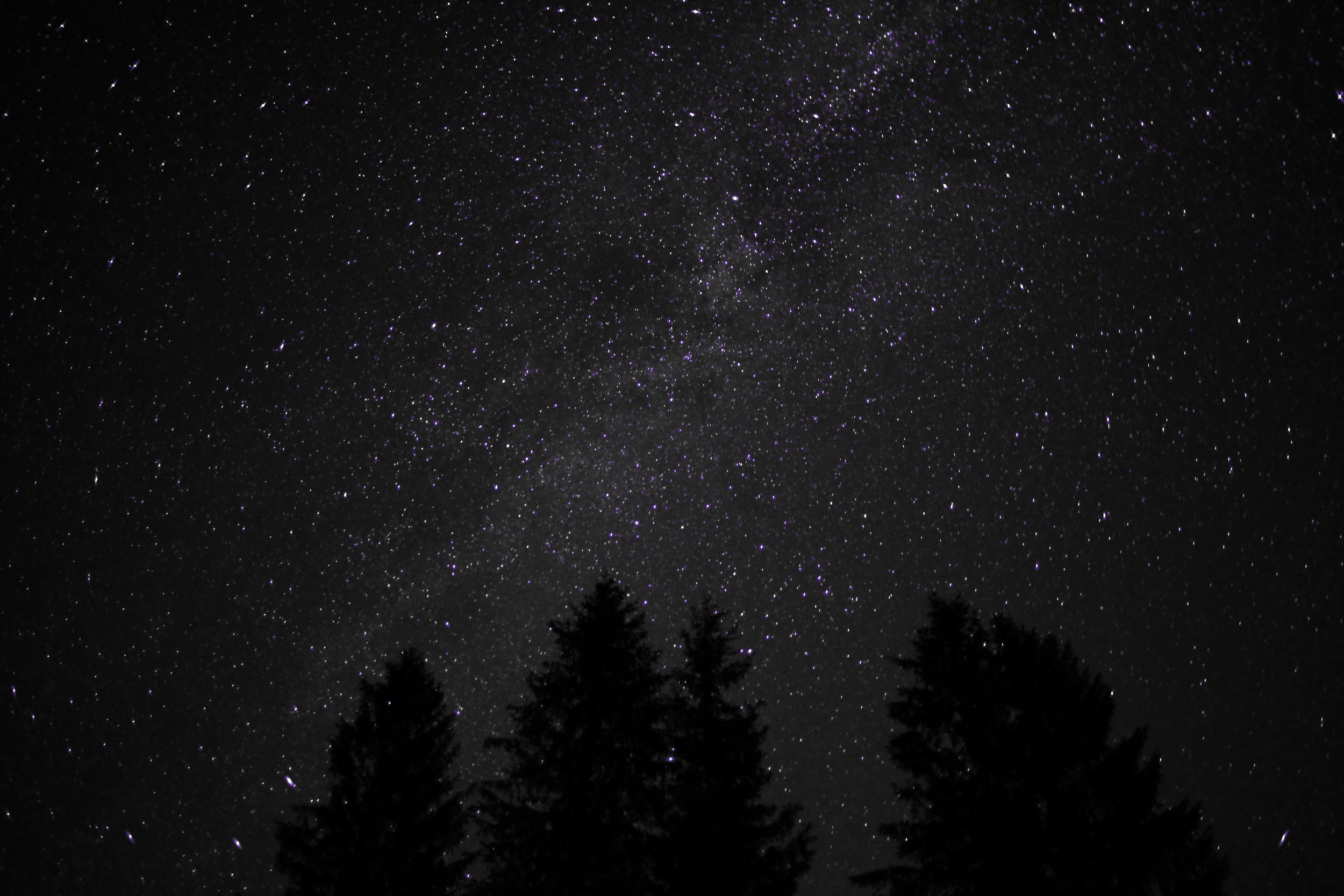 Violet Stars.png