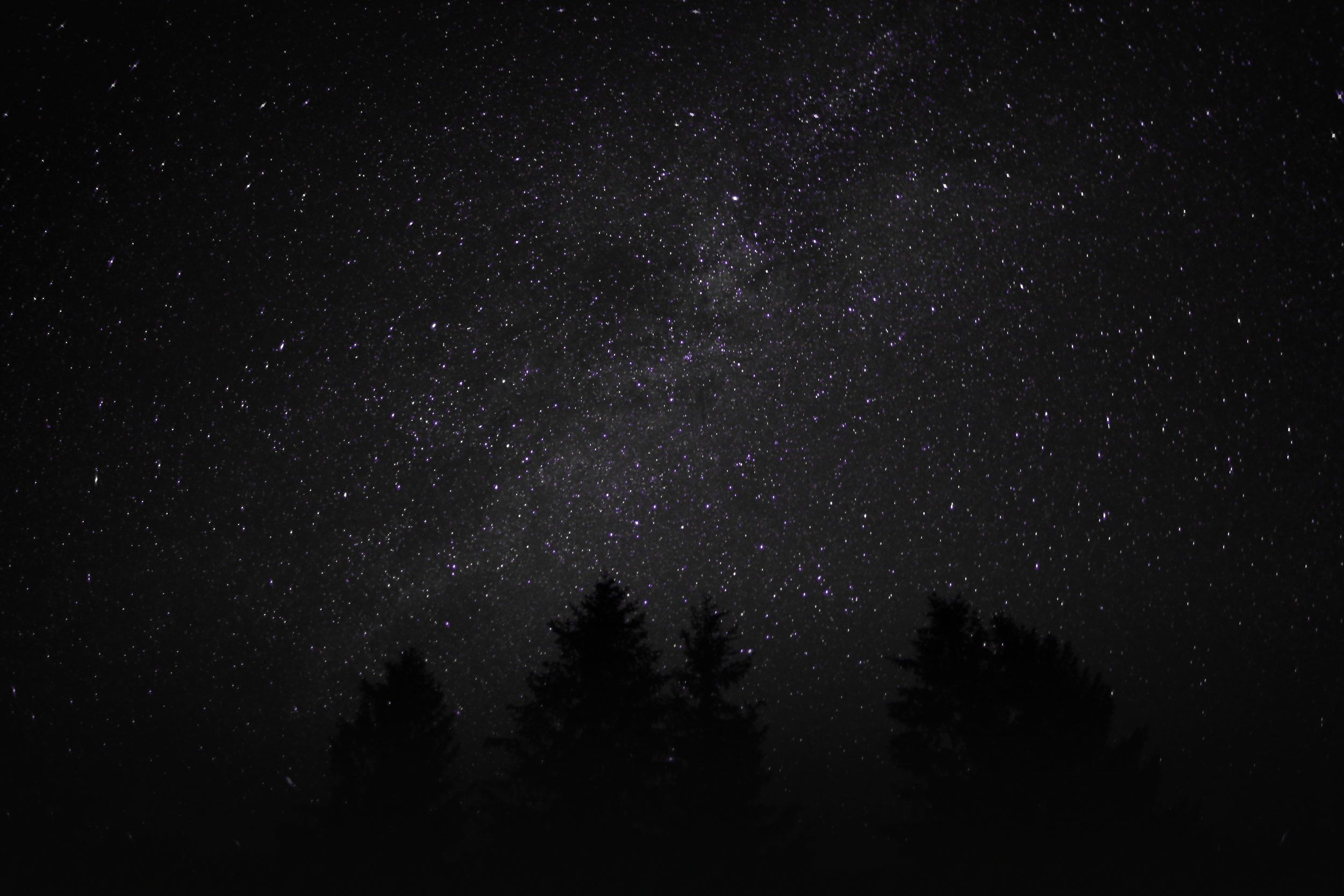 Violet Stars.banner.png