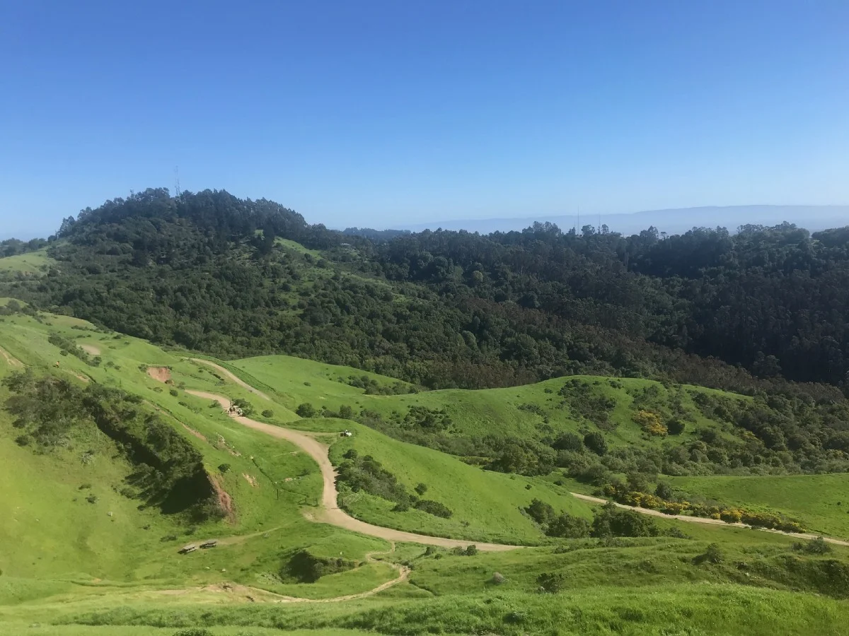 east bay.jpeg
