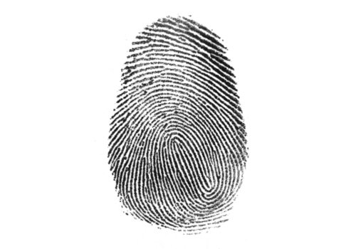 fingerprint