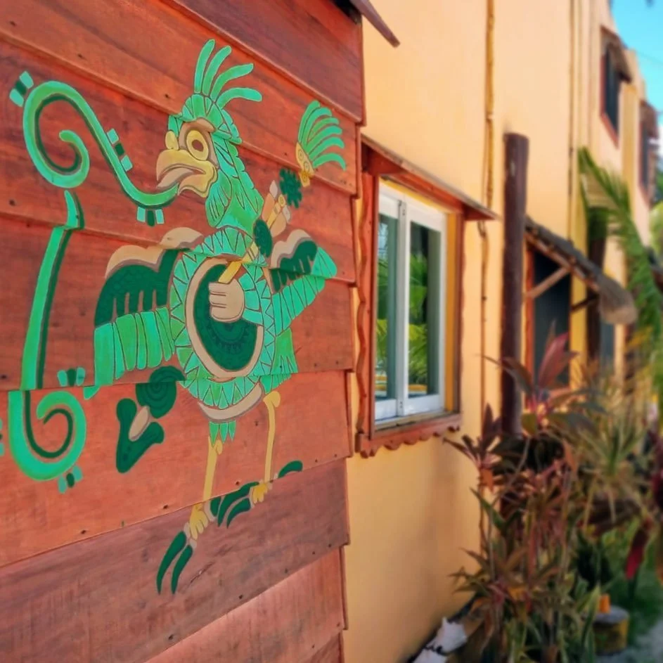 Whimsical folklore art by the one and only @irvink_design ✨

#quetzal #sacredbird #localartist #puertomorelosart #divingbar #divinglodgedowntown #beachfrontstays #puertomorelosmexico