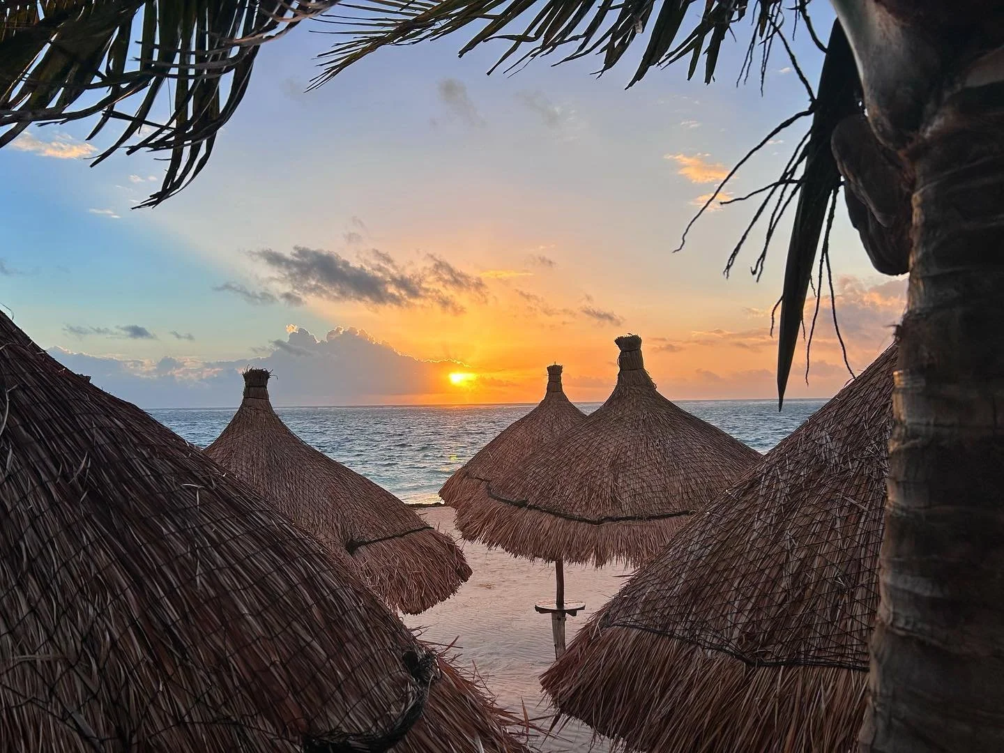 🐚✨ Palapa Dreaming ✨🐚

#beachfrontstays #sunrisecatchers #divinglodgedowntown #earlybirds #puertomorelos #rivieramaya