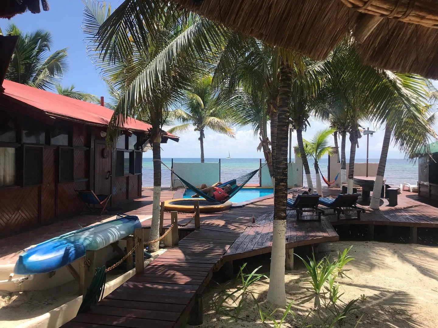 Dese&aacute;ndoles a todos nuestros queridos amigos un bonito inicio de semana desde el Diving Lodge Norte 🌴🌞✨ #puertomorelosdivinglodge #frentealmar #paraisorustico #rivieramaya #divinglodgenorte #puertomorelos
