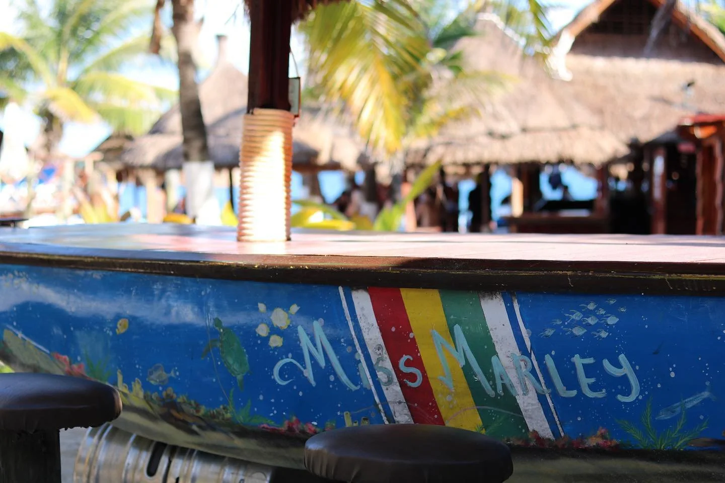 Have you met Miss Marley? 🍽🍻#reuserecycle #rusticdining #divinglodgedowntown #divingbar #puertomorelos 🎨🖌✨ @mestadealba @diving.bar