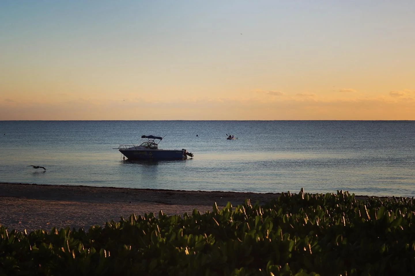 Timeless days on the Caribbean coast 🧉🌞🎏✨ #divinglodgedowntown #puertomorelos #marcaribe #mexico