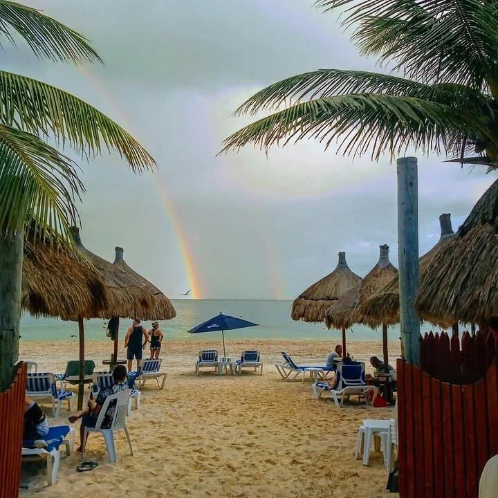 Life&rsquo;s little magical moments 📸 by @tonypliegojgmail.co #puertomorelos #unpuebloconencanto #rivieramaya #divinglodgedowntown

Big News!! We&rsquo;re now open on Tuesdays&hellip; Until Further Notice! 🗓😎🍻 #cheers #seeyouonthebeach