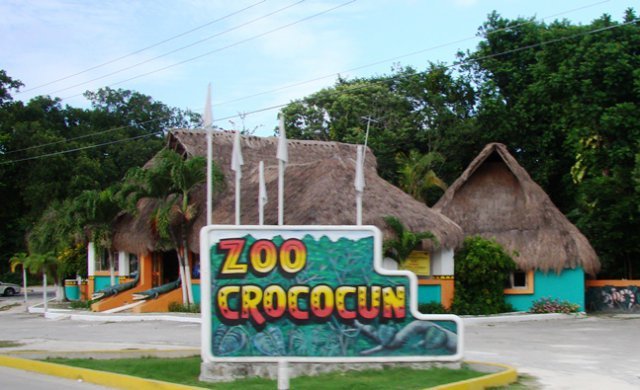 With kids? Visit the Crocodiles and other reptiles! 