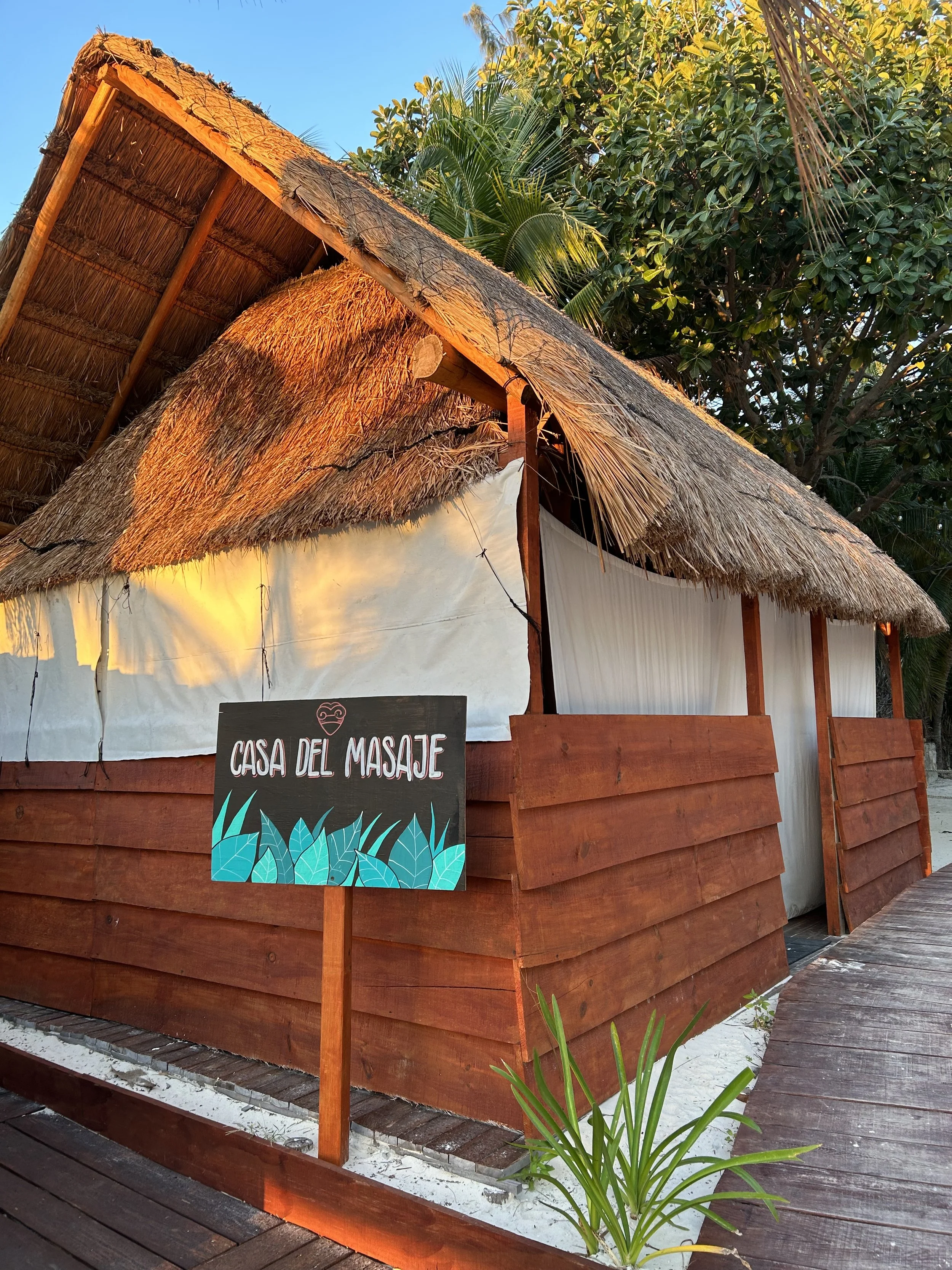 Casa del Masaje @ DLD! Please reserve directly at the bar, or the palapa.