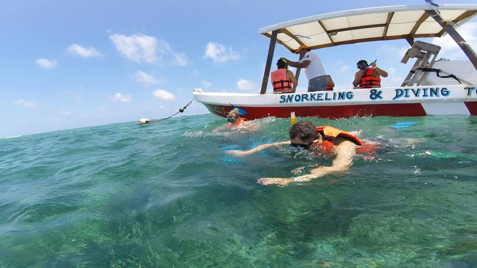 Explore the reef with us! 