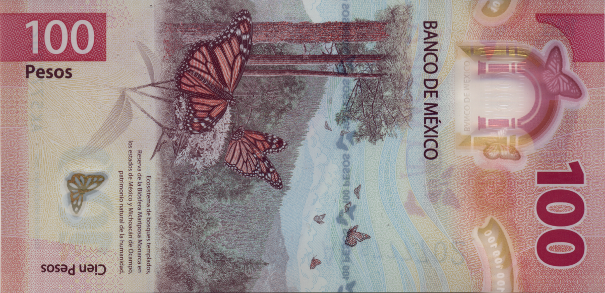 100-pesos.png