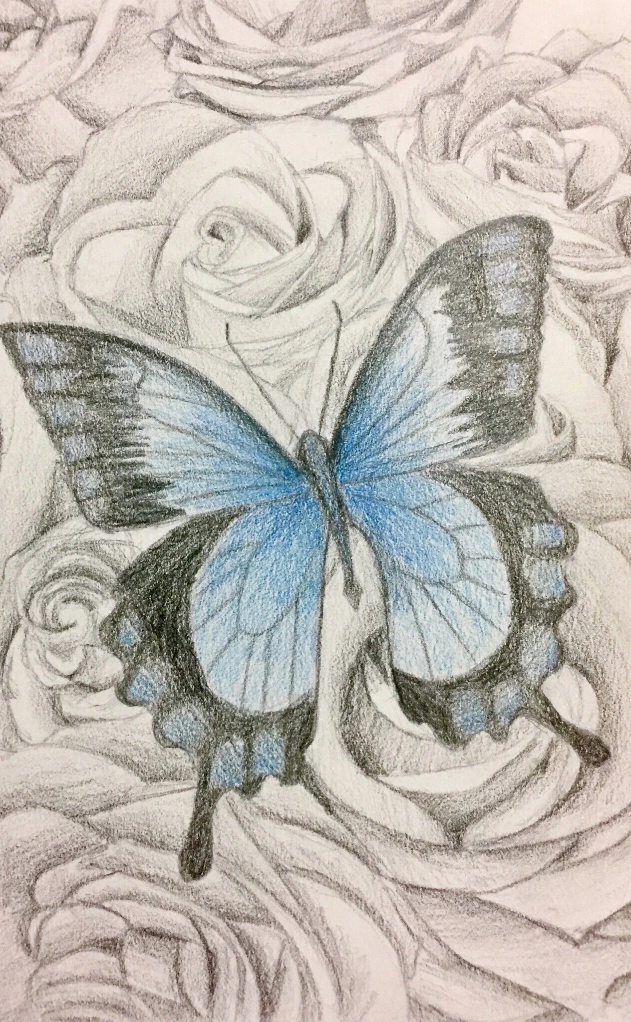 For Robyn.