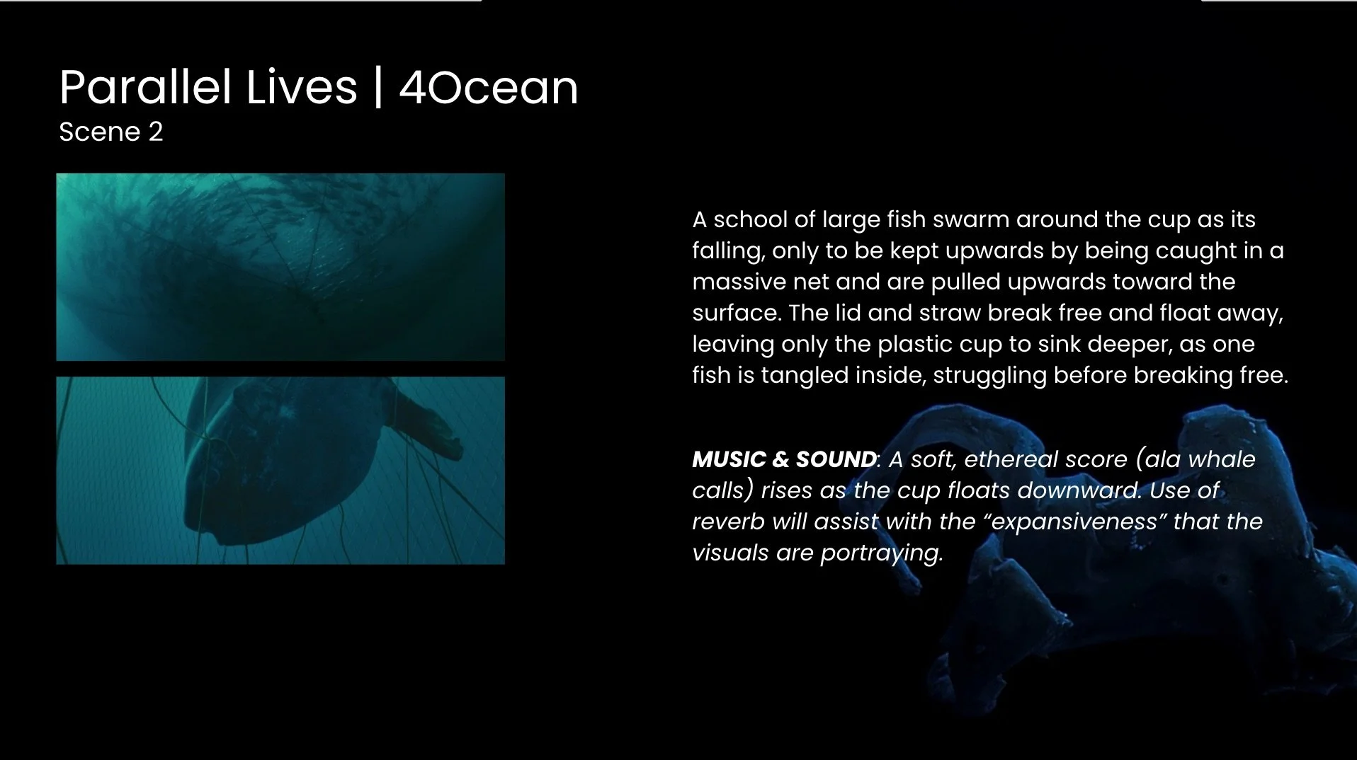 4ocean_3.jpg