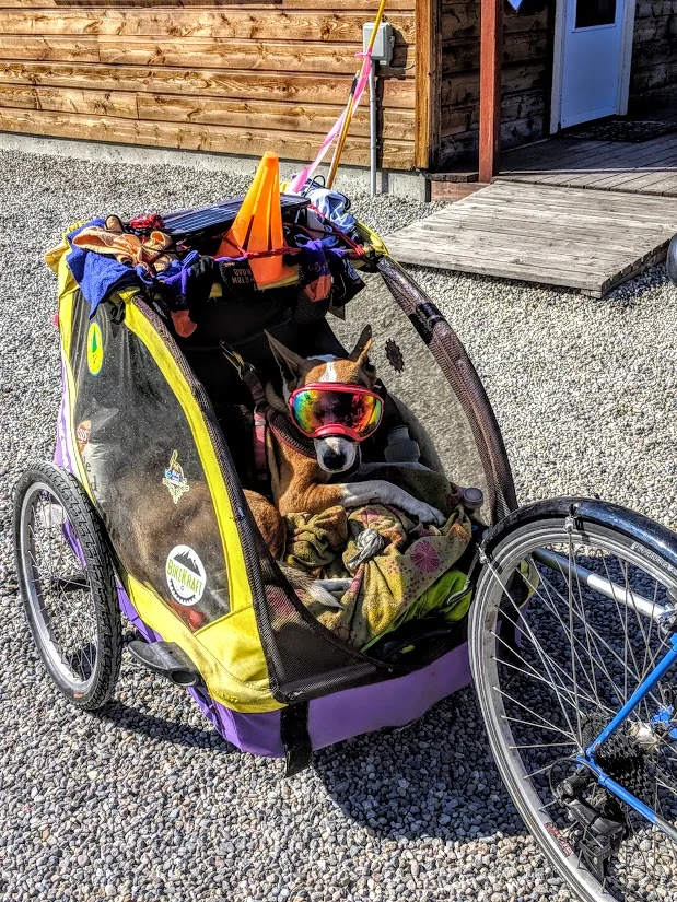Our campers come in all shapes and sizes. Yes, we are dog friendly!