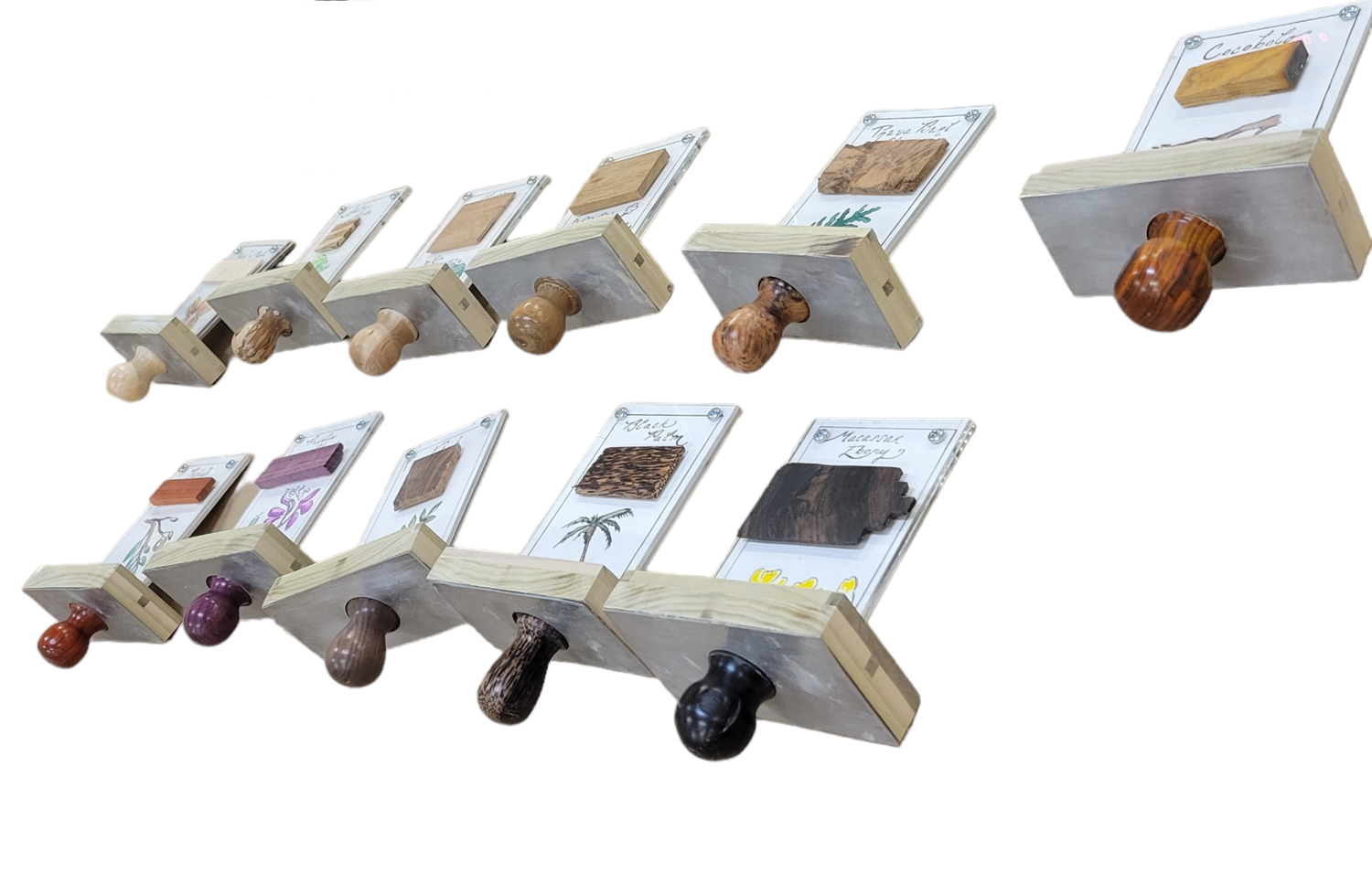 WOOD SPECIMENS (1).webp