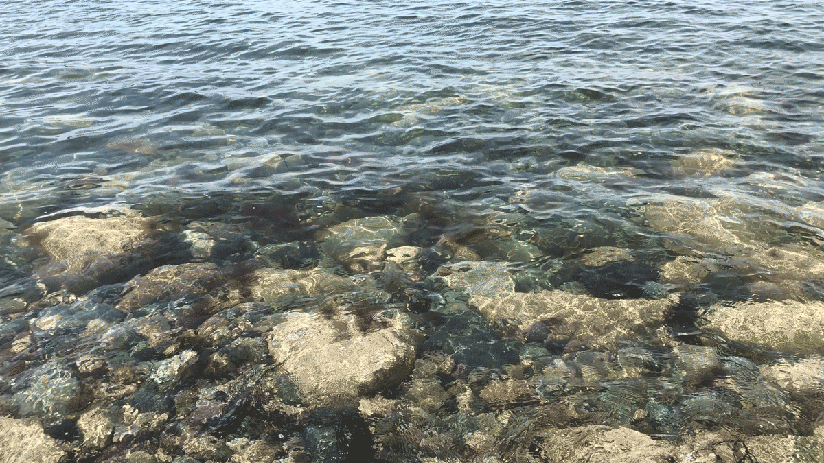 beach-movie-8.gif