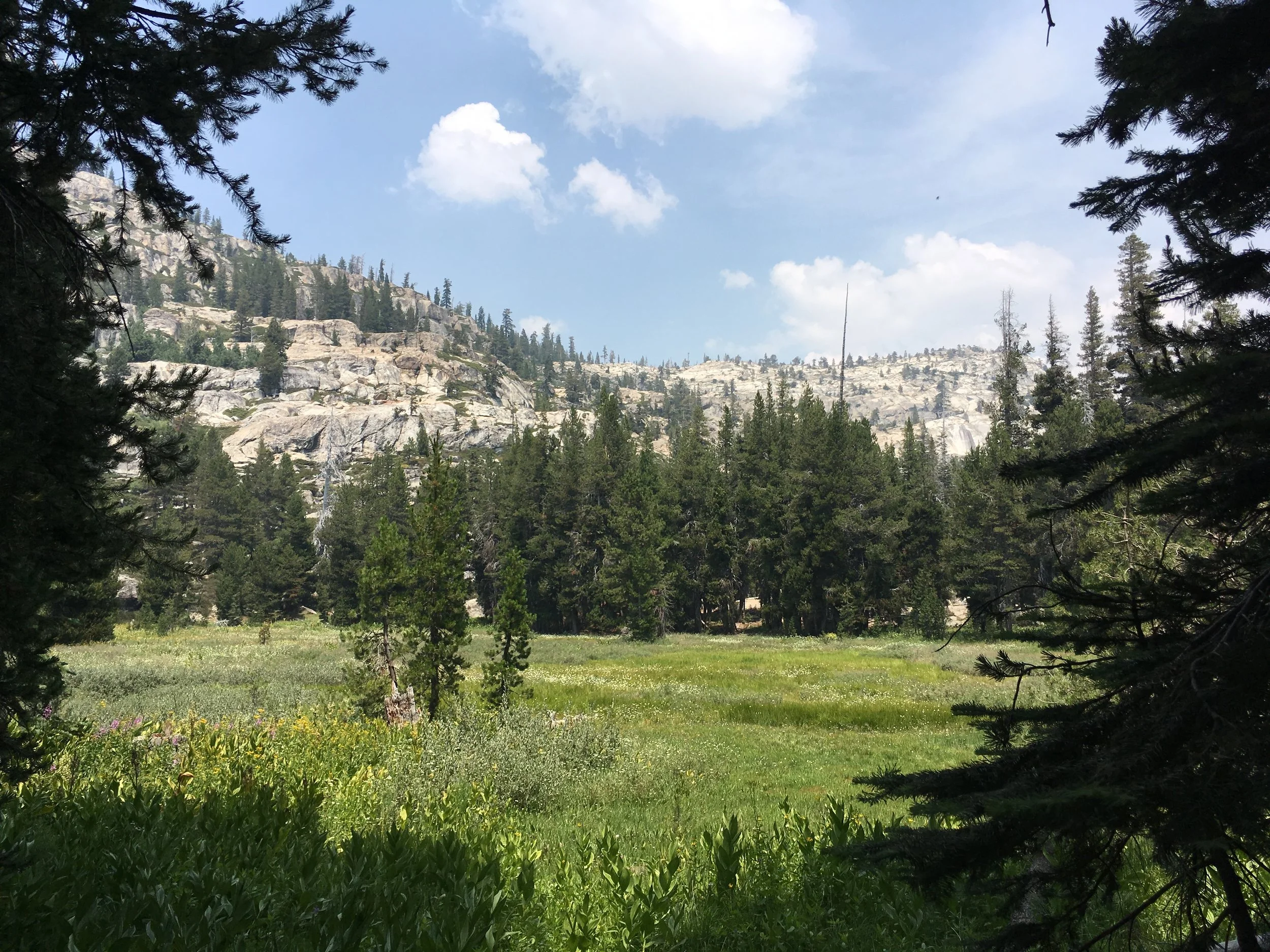 Mindful Business: Reflecting on The Ecology of Commerce