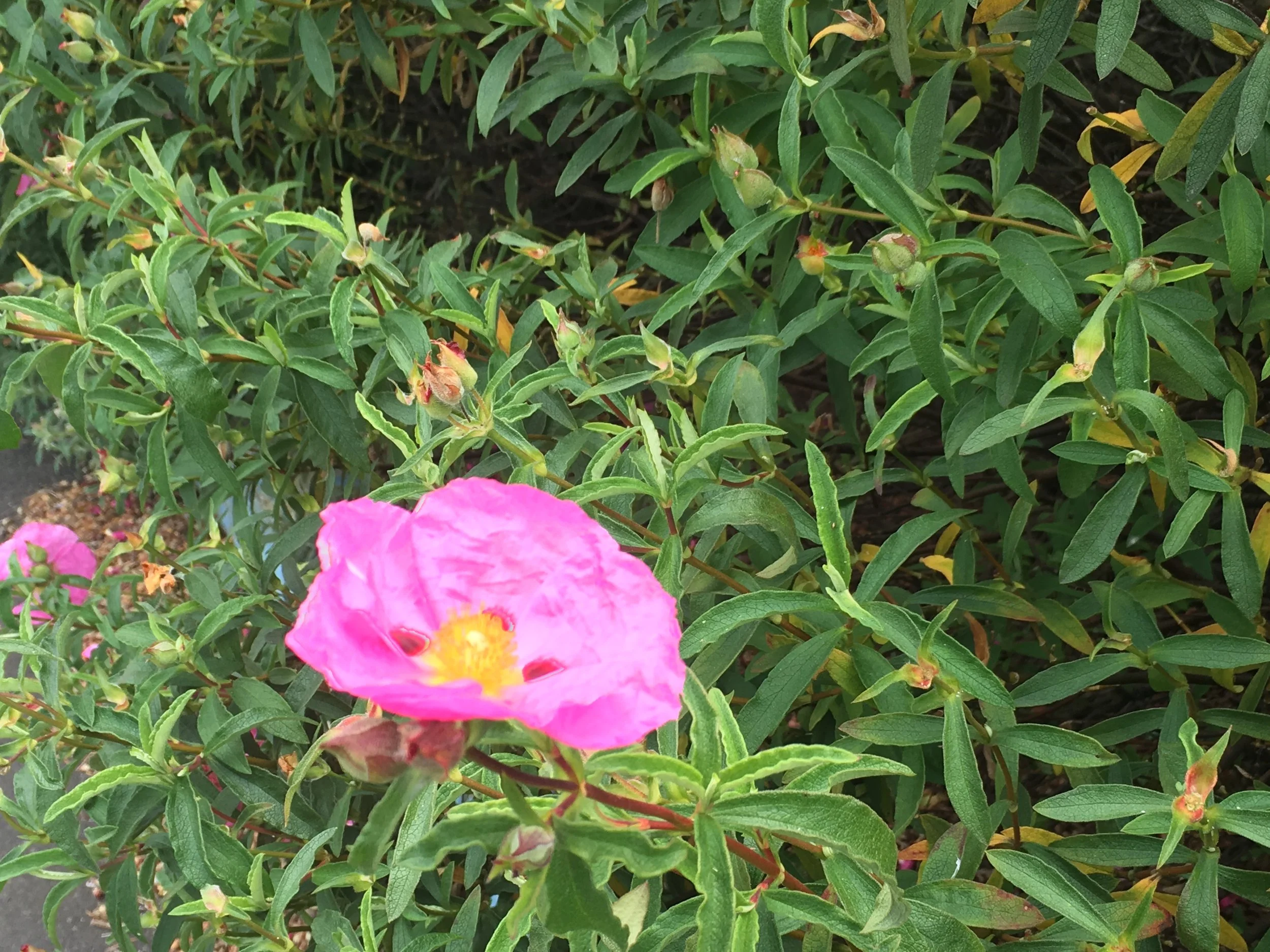 Is it Safe to Do Yoga During Egg Freezing?