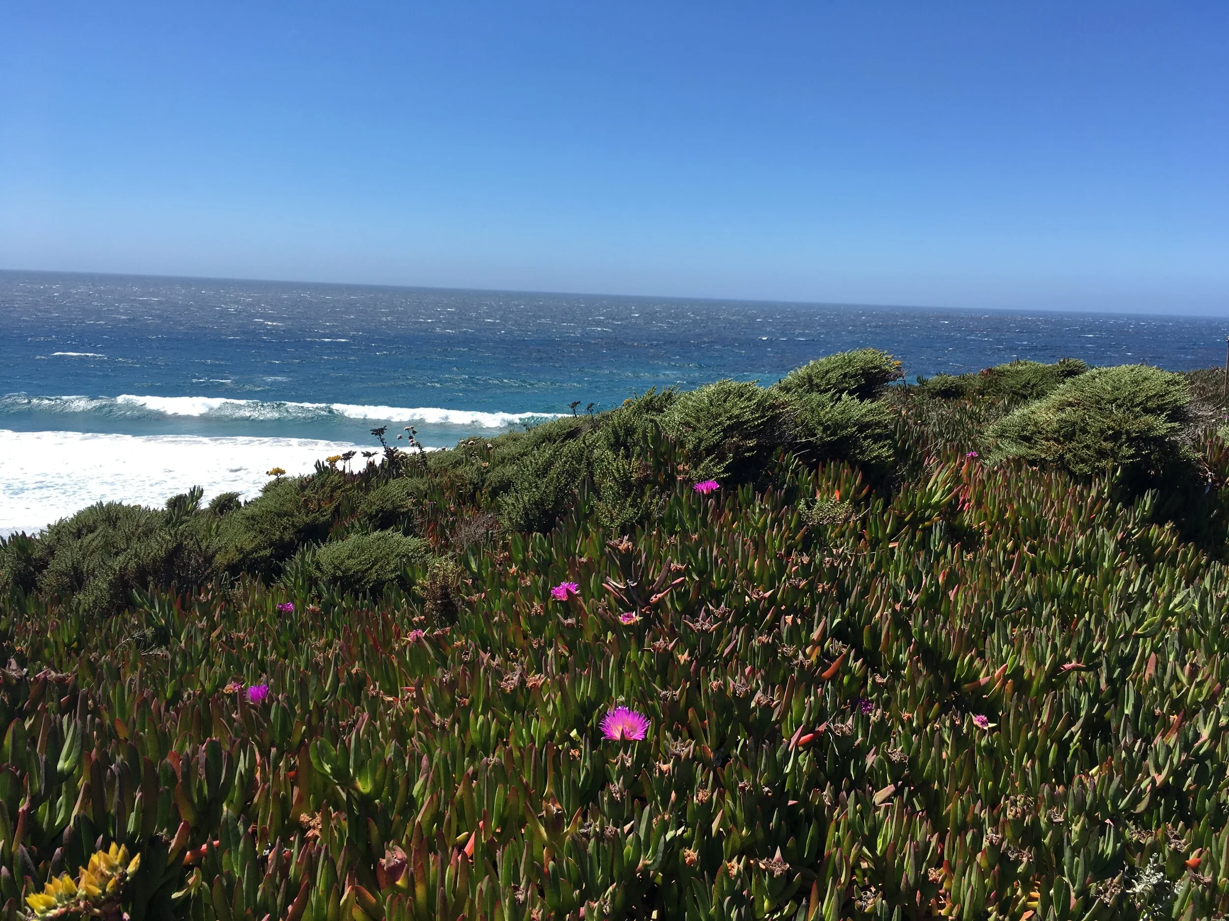 Three Meditations for a Fresh Perspective