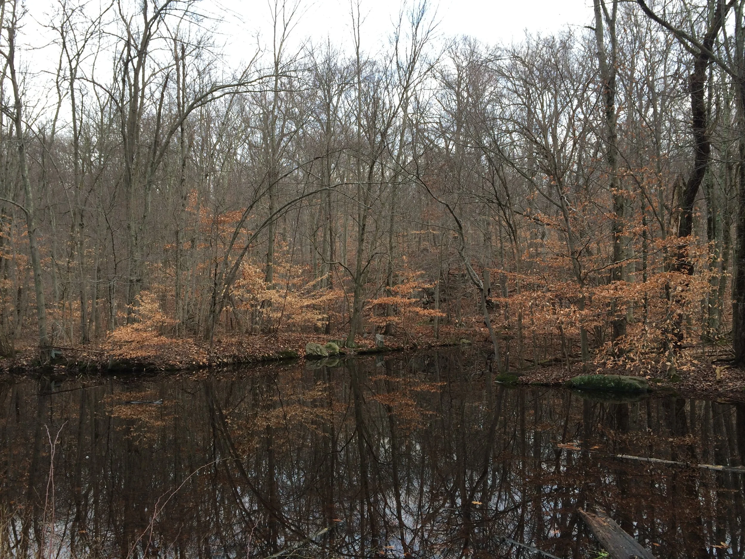 How to handle weird meditative states: Grounding practices and more