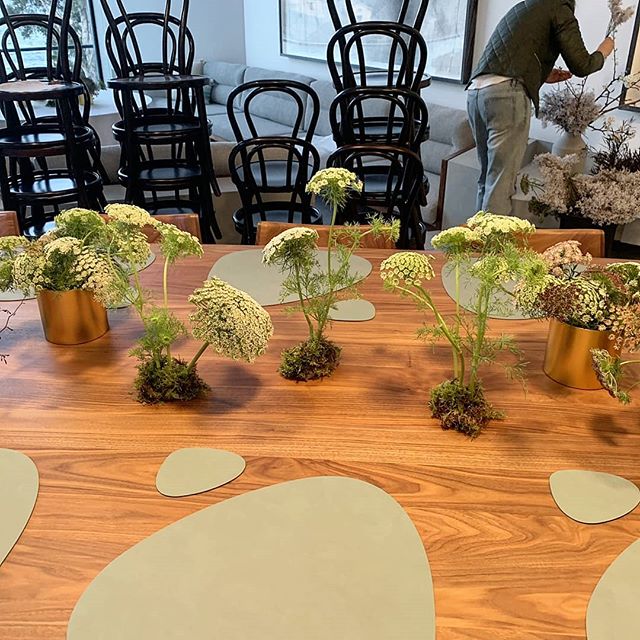 THIS WILD SPRING.. A very special dinner @biennalesydney

Thank you Grandma for letting me steal your blossom branches for this one. And to Kit for chopping them down for us.

Featuring Queen Anne's Lace (wild carrot), smokebush (from the incredible 