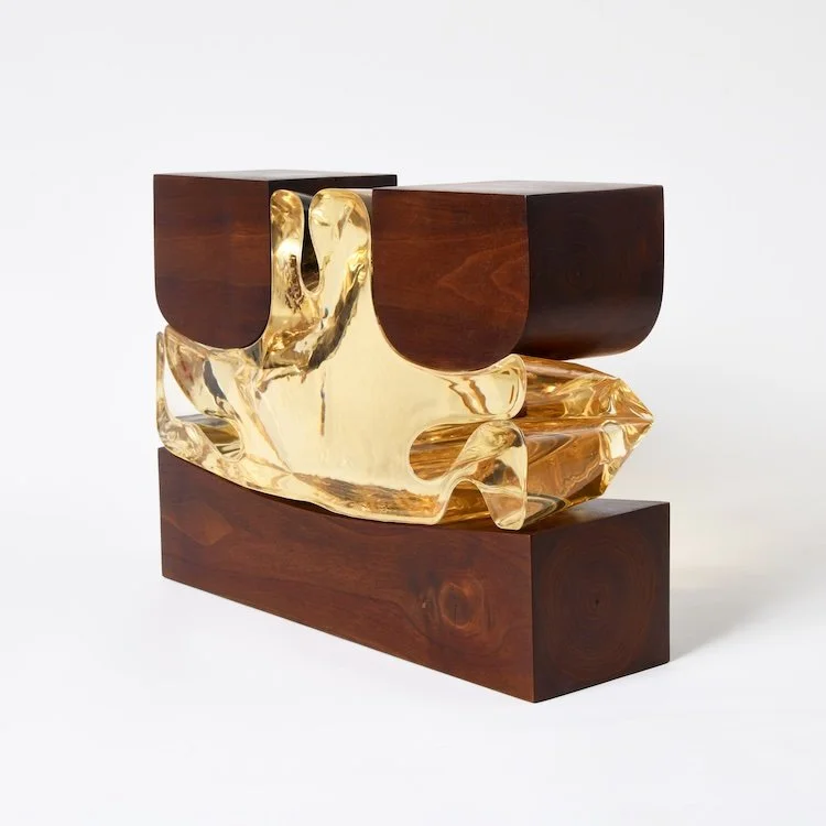 ANTHOPOCENE CROPPED 1  @91 KB .jpeg