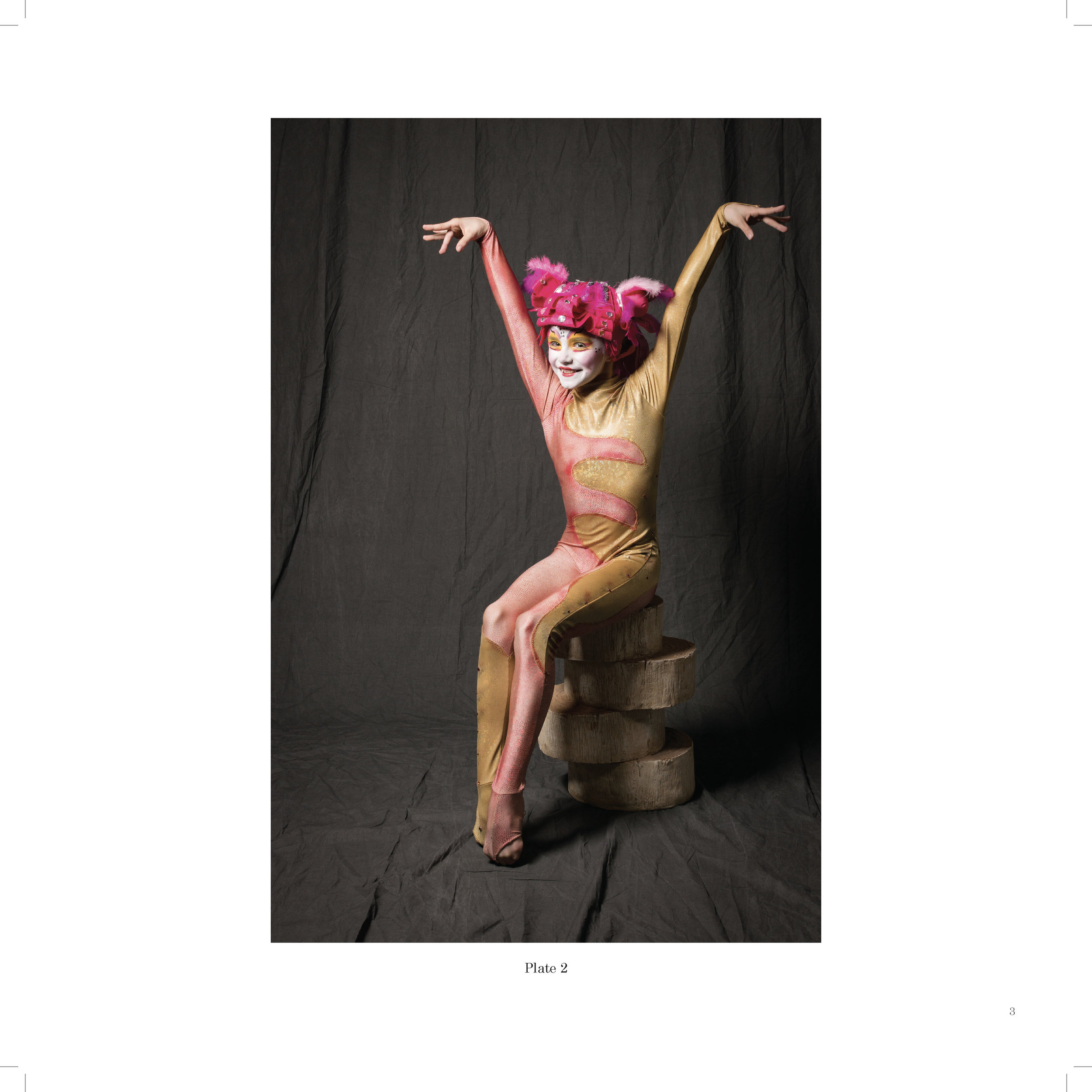 LePetitCirque-InteriorV3_Page_015.jpg