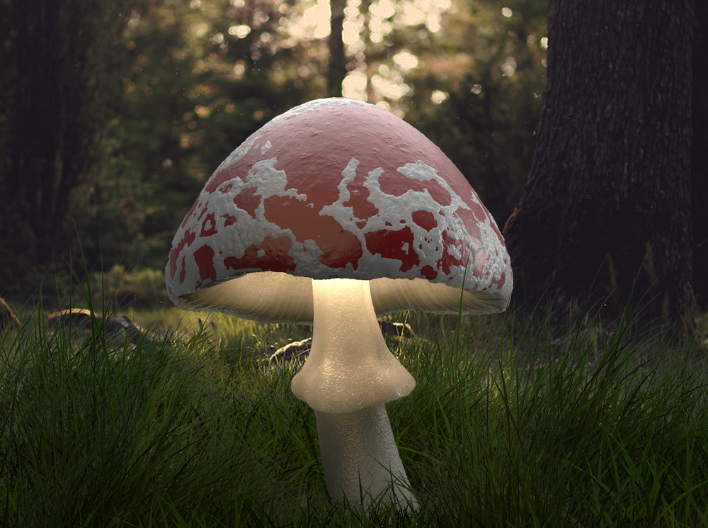 Mushroom Sculpt — Jimmy Brennick