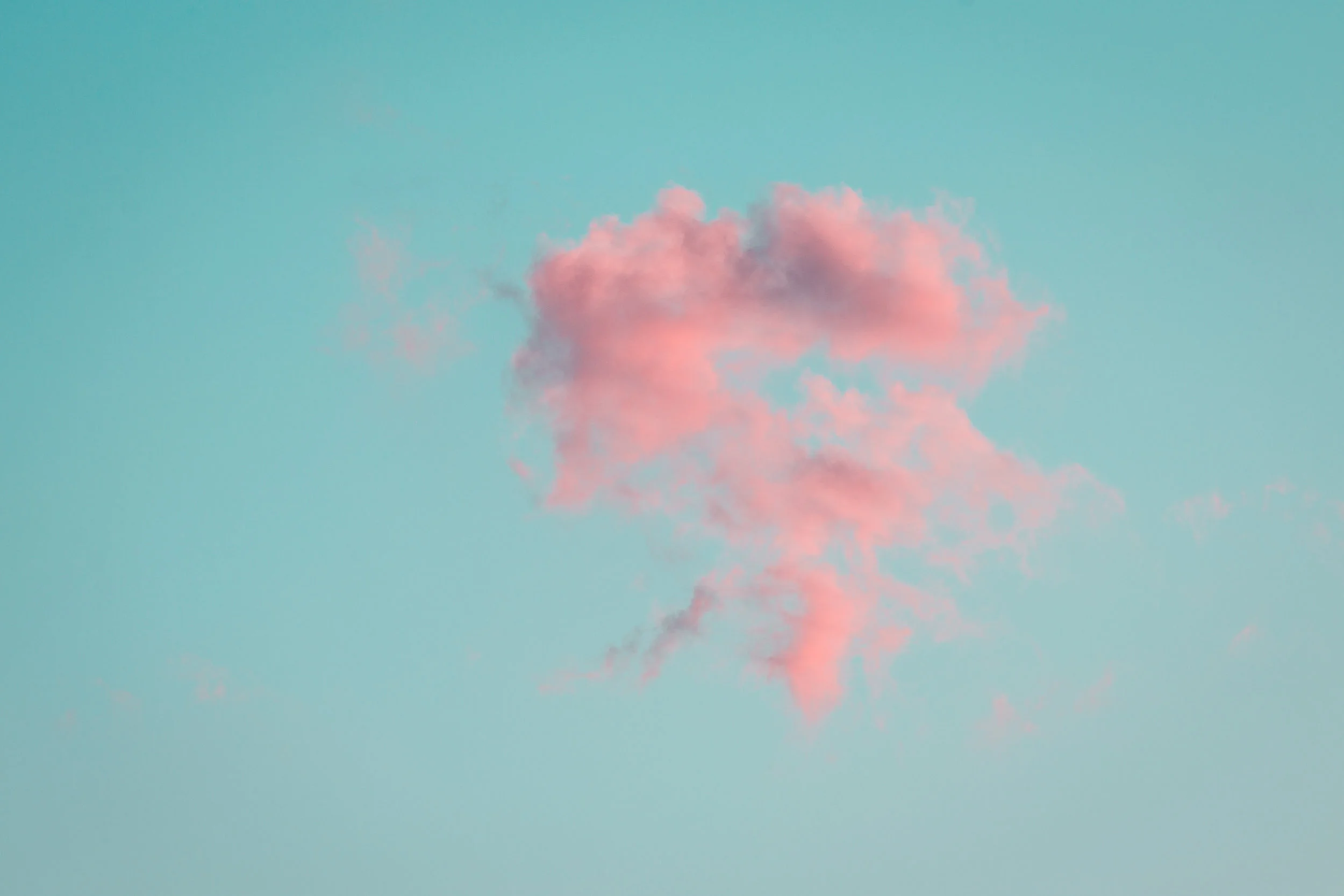 Building Trust 101: Honest Communication