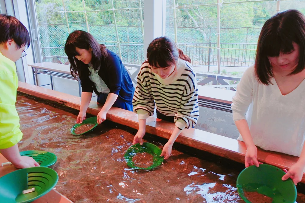 不器用でも必ず 金 が採れる 西三川で砂金採り体験 さどトリコ サドトリコ さどとりこ