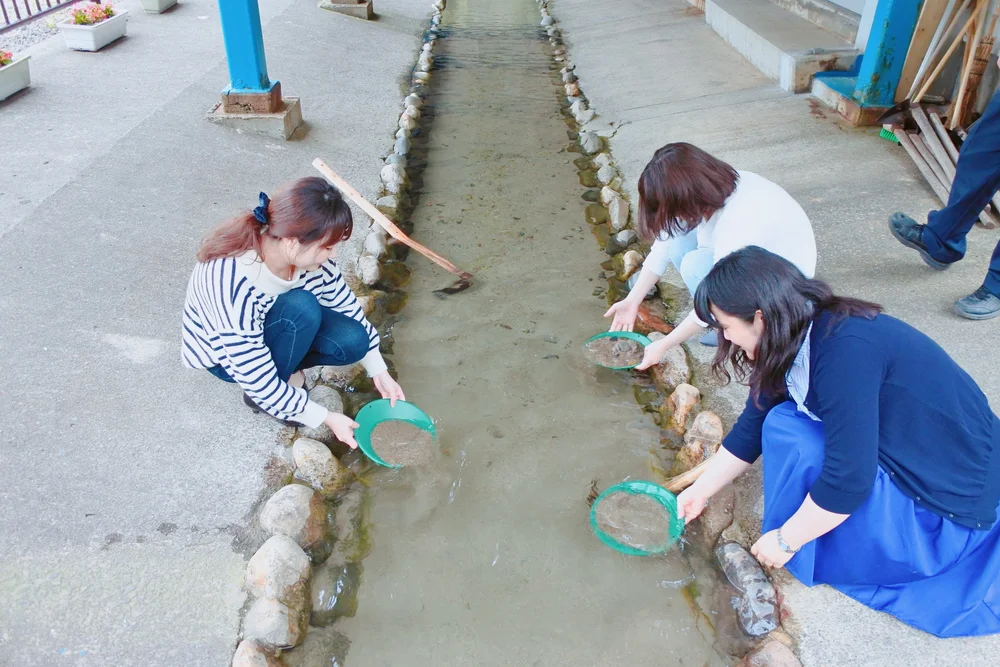 不器用でも必ず 金 が採れる 西三川で砂金採り体験 さどトリコ サドトリコ さどとりこ