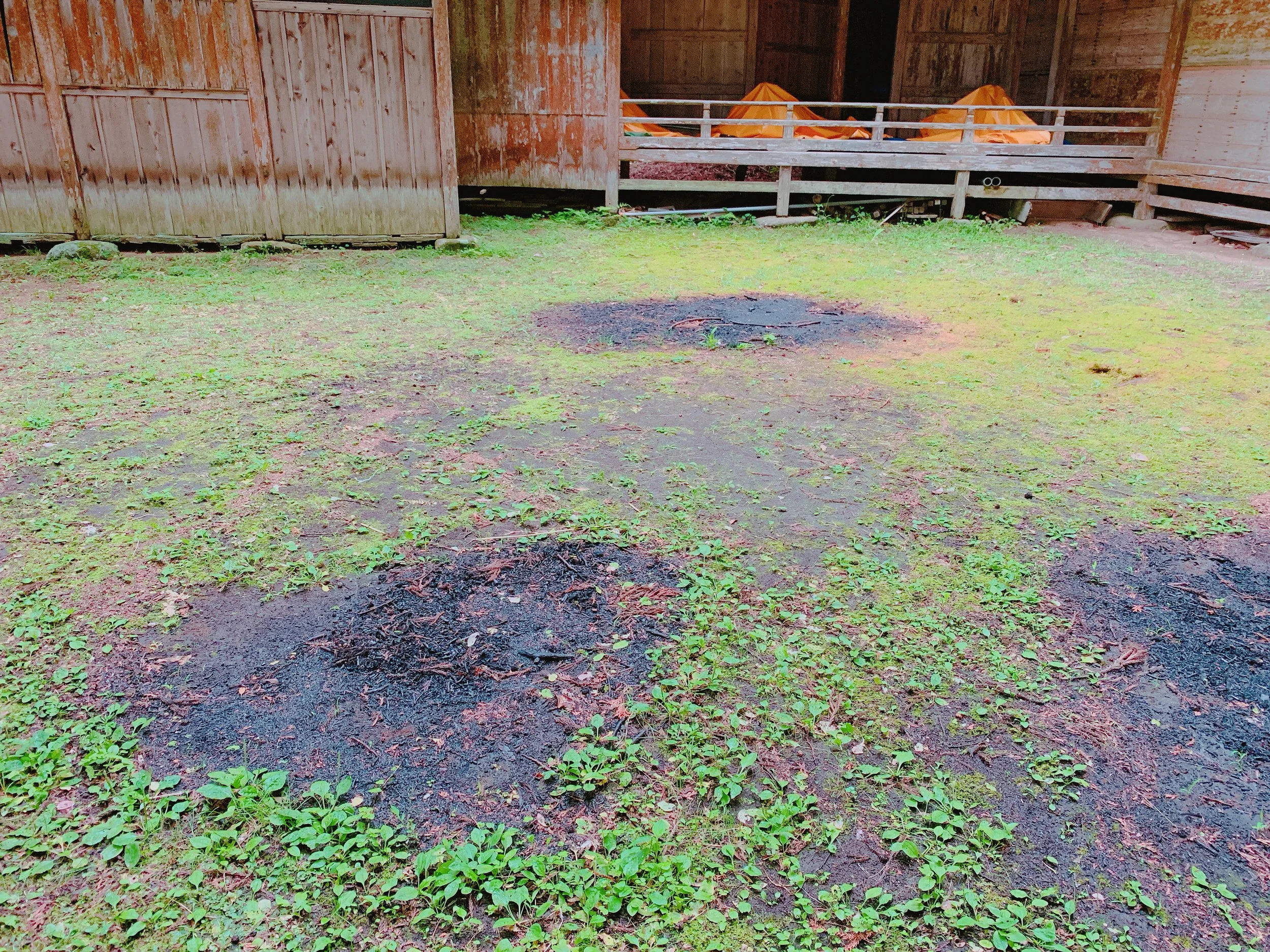 地面を見てみる