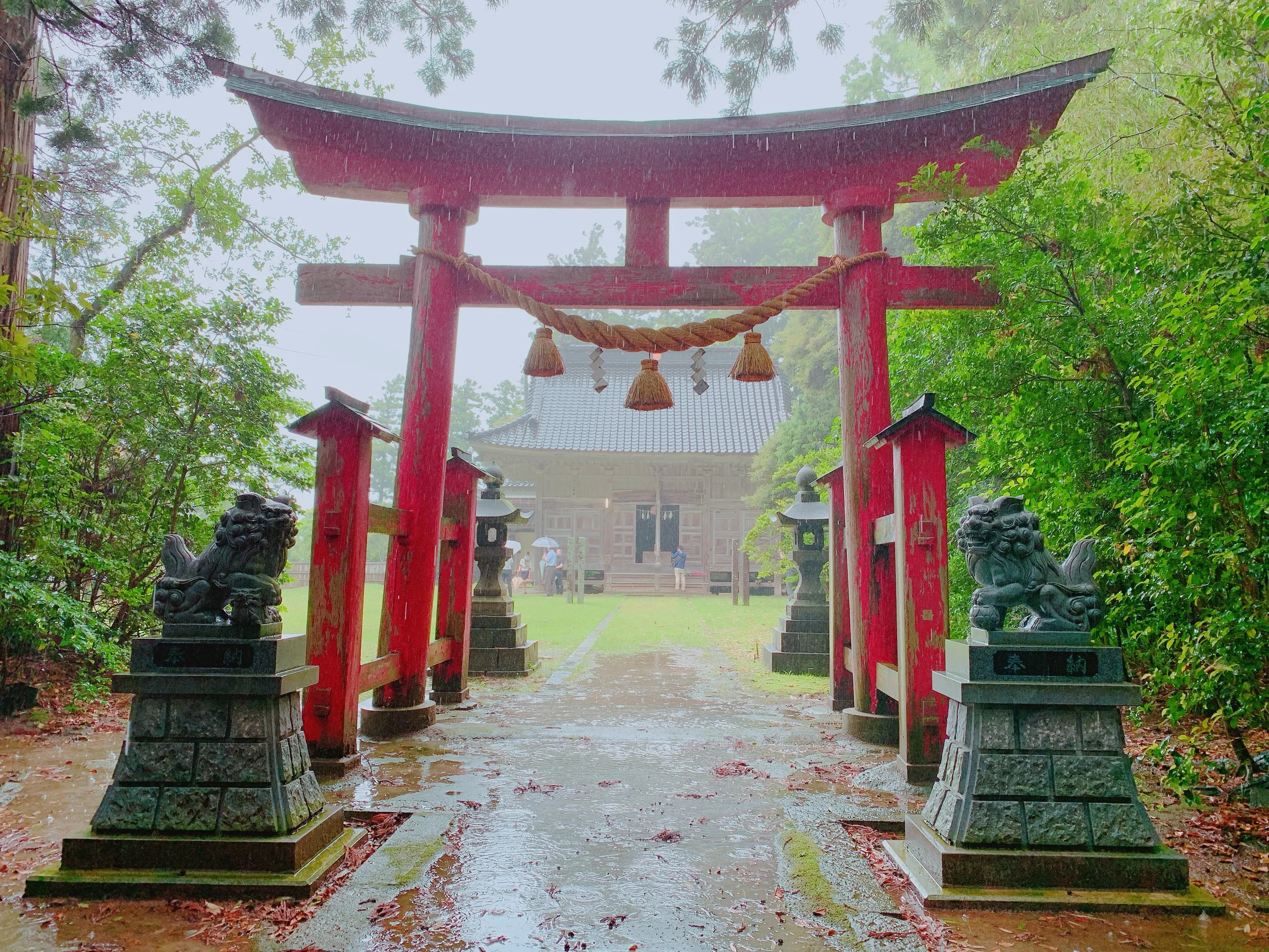 大膳神社の鳥居