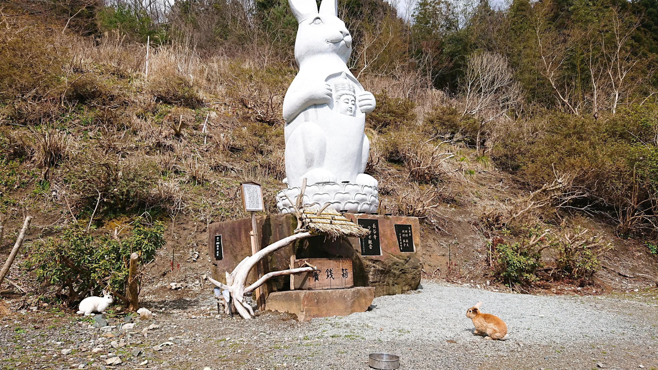 うさぎ観音とうさぎ