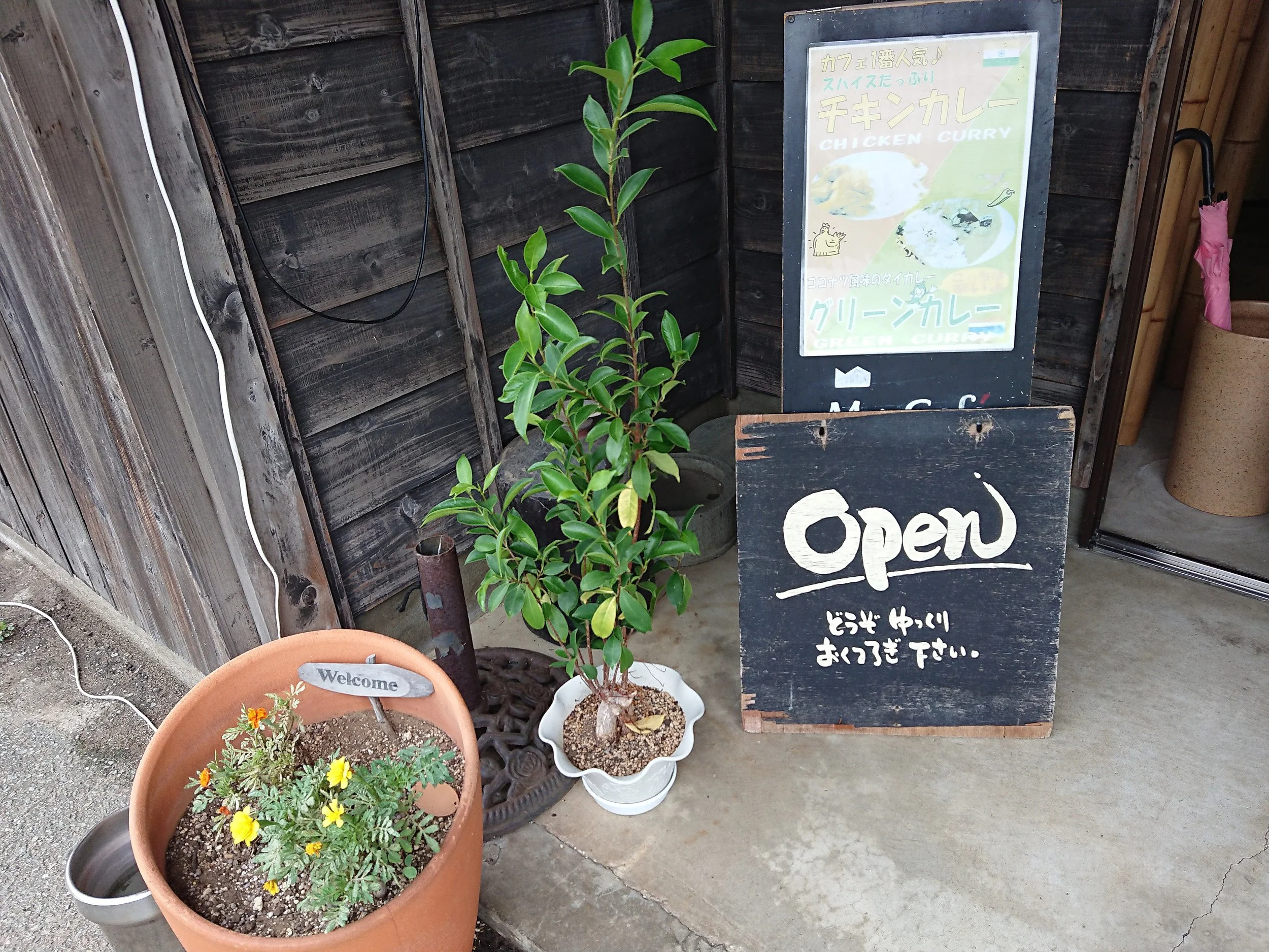 開店してる♪