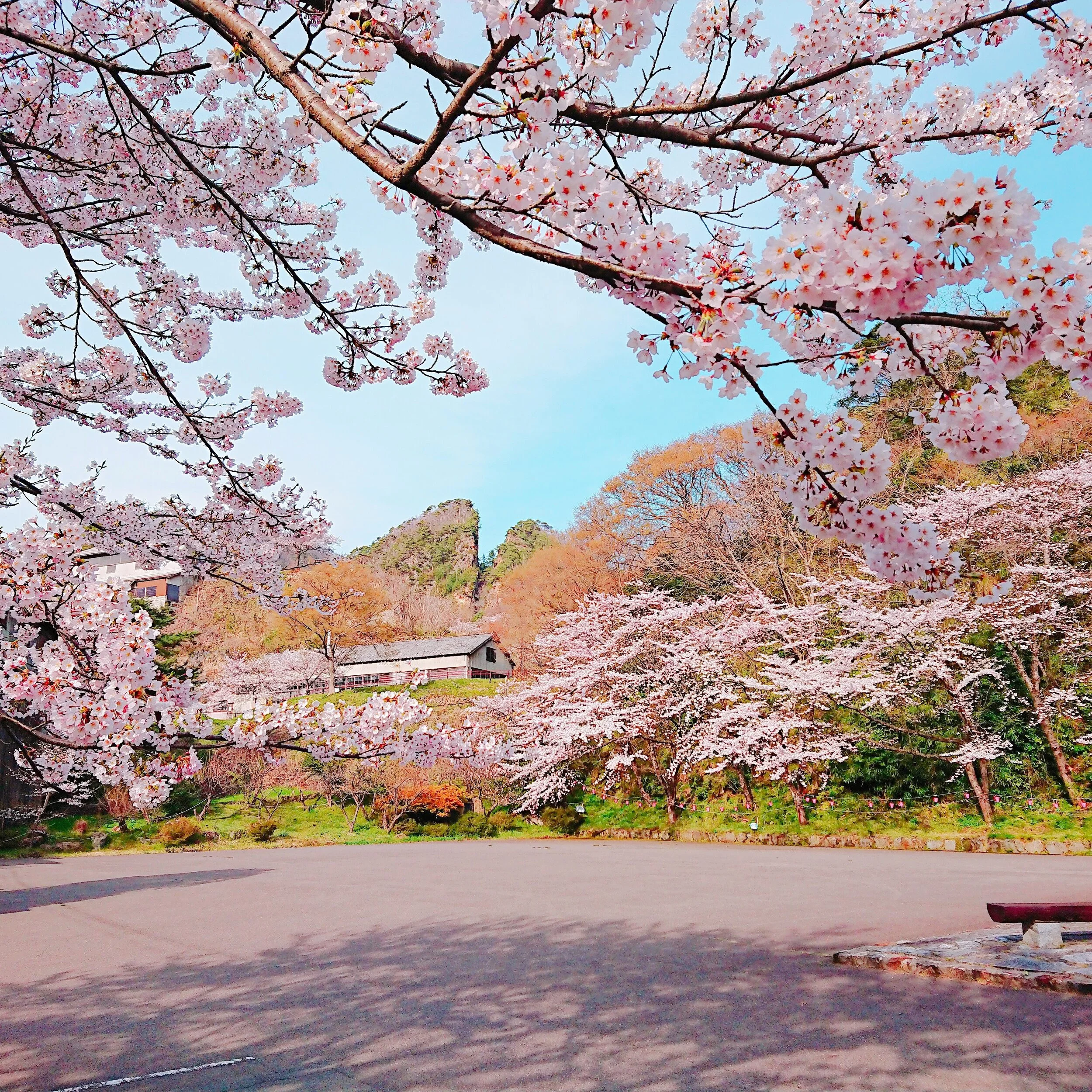 目の前には輝く異世界 佐渡金山でmrグラスをかけるウォークスルー型アトラクション Island Mirrorge アイランド ミラージュ さどトリコ サドトリコ さどとりこ